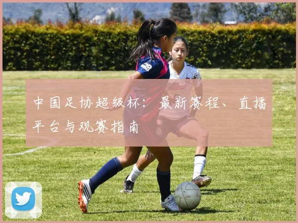 中国足协超级杯：最新赛程、直播平台与观赛指南