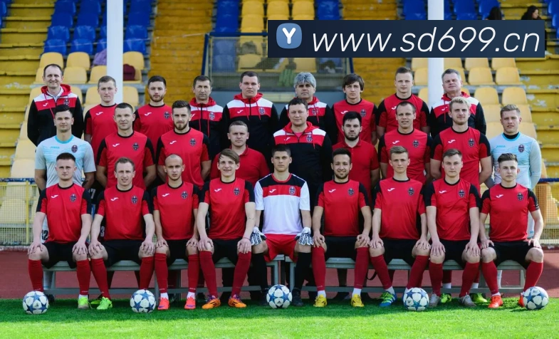 米兰app官方正版官网服务体系